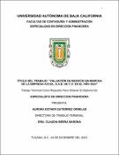 Miniatura