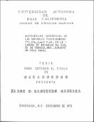 Miniatura