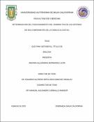 Miniatura