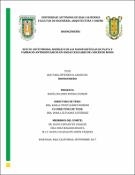 Miniatura